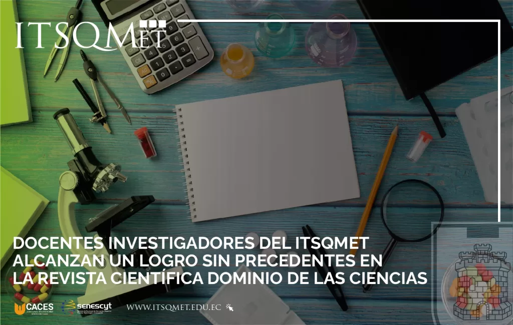 Docentes Investigadores