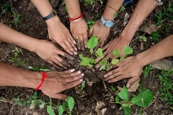 Educación Ambiental con USEGBE