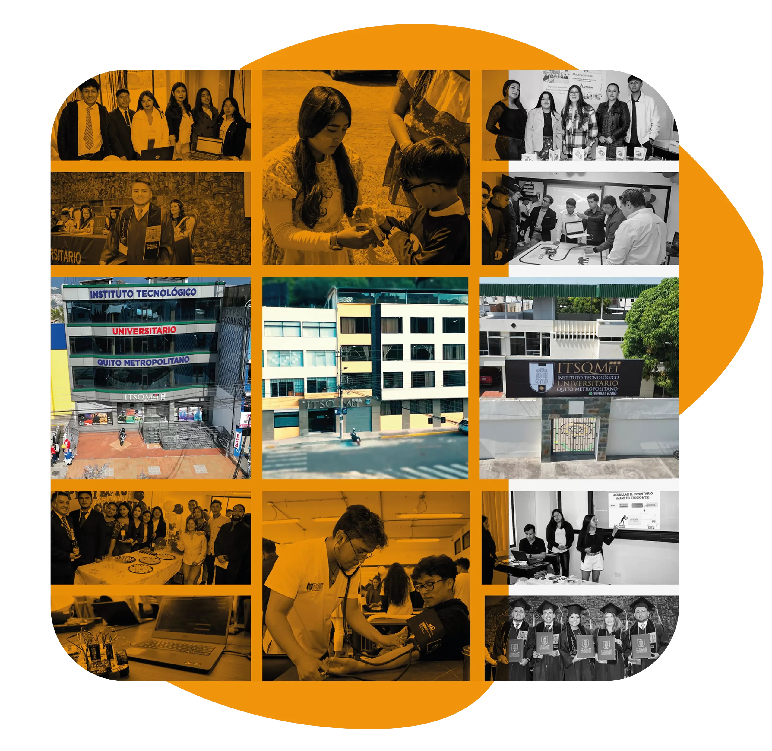 Professional Academy: Mejora tu Conocimiento y Habilidades