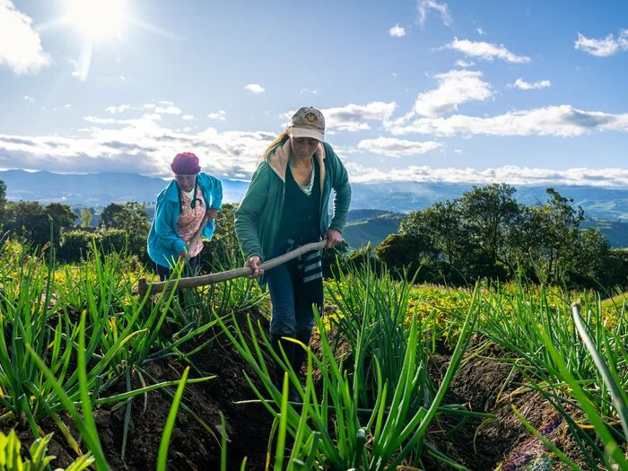 Alianza Poderosa: ITSQMET y MAG Impulsan la Sostenibilidad