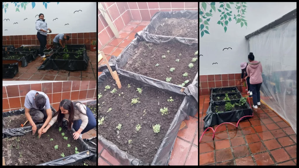 ¡Cultivando Bienestar! Jardinería Terapéutica y Huertos Urbanos en San Juan