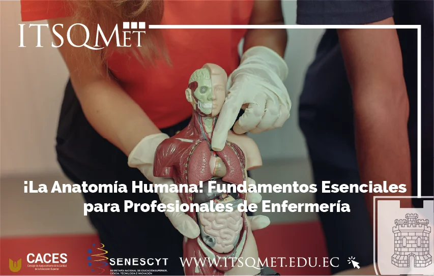 La Anatomía Humana