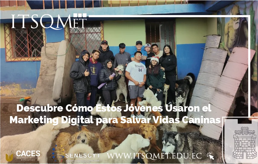 Estrategias Creativas en Redes