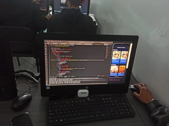 Desarrollo de la Aplicación de Software