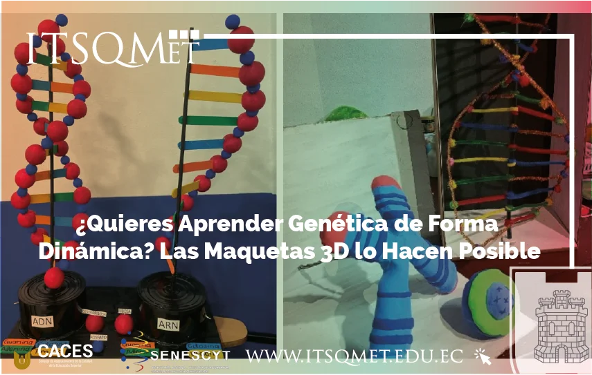 Maquetas 3D para el aprendizaje de genética
