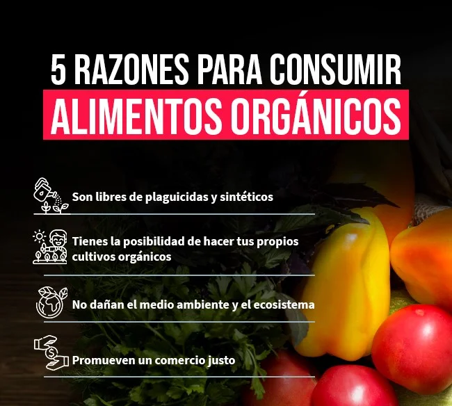 5 razpnes para consumir alimentos orgánicos