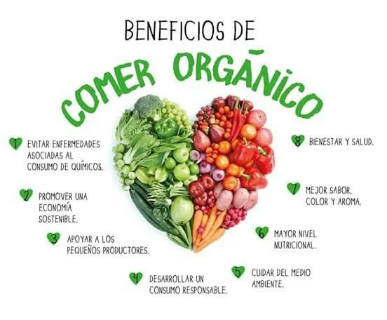 beneficios de comeralimentos orgánicos