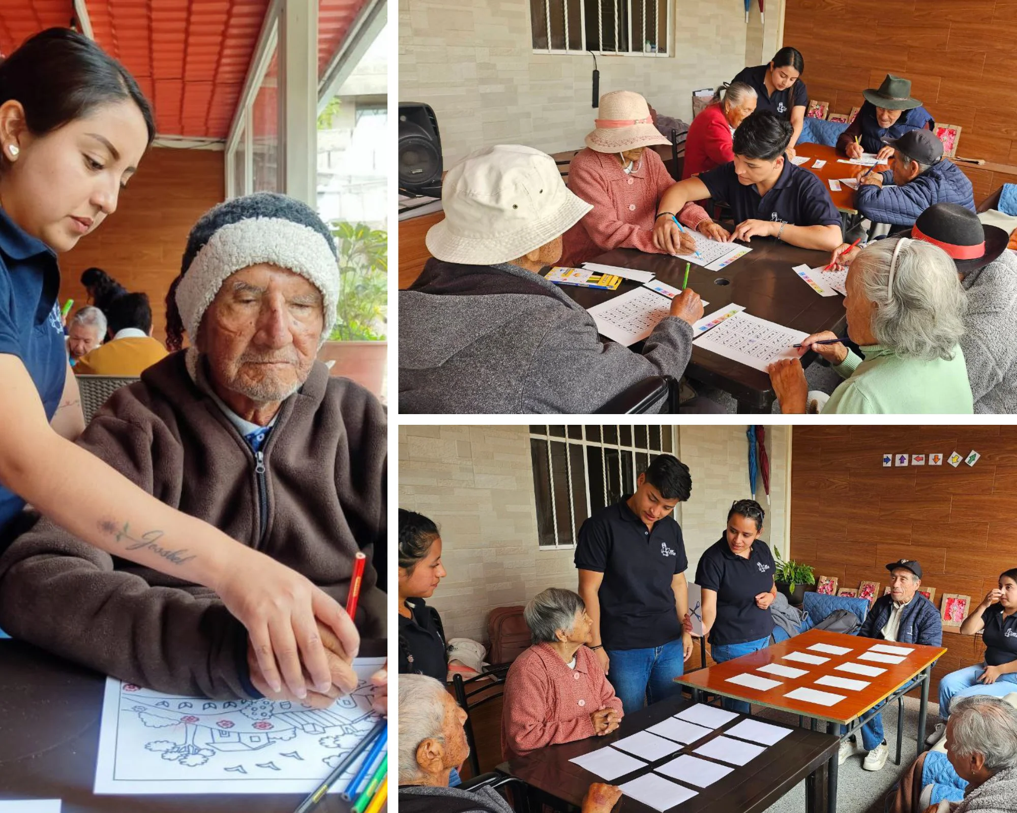 La Carrera de Educación Básica: Un Compromiso con el Bienestar de los Adultos Mayores