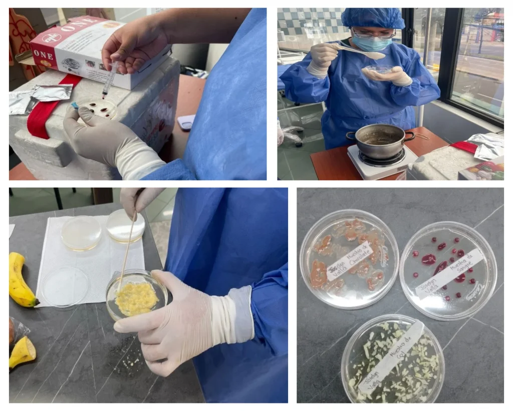 Práctica de cultivo microbiológico