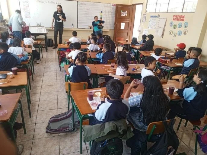 Prácticas en la educación básica
