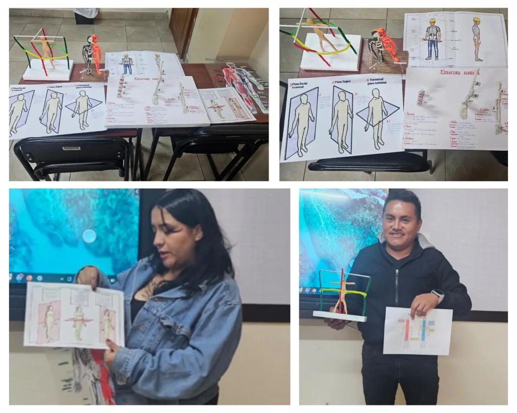 Ergonomía Laboral y Anatomía se Unen