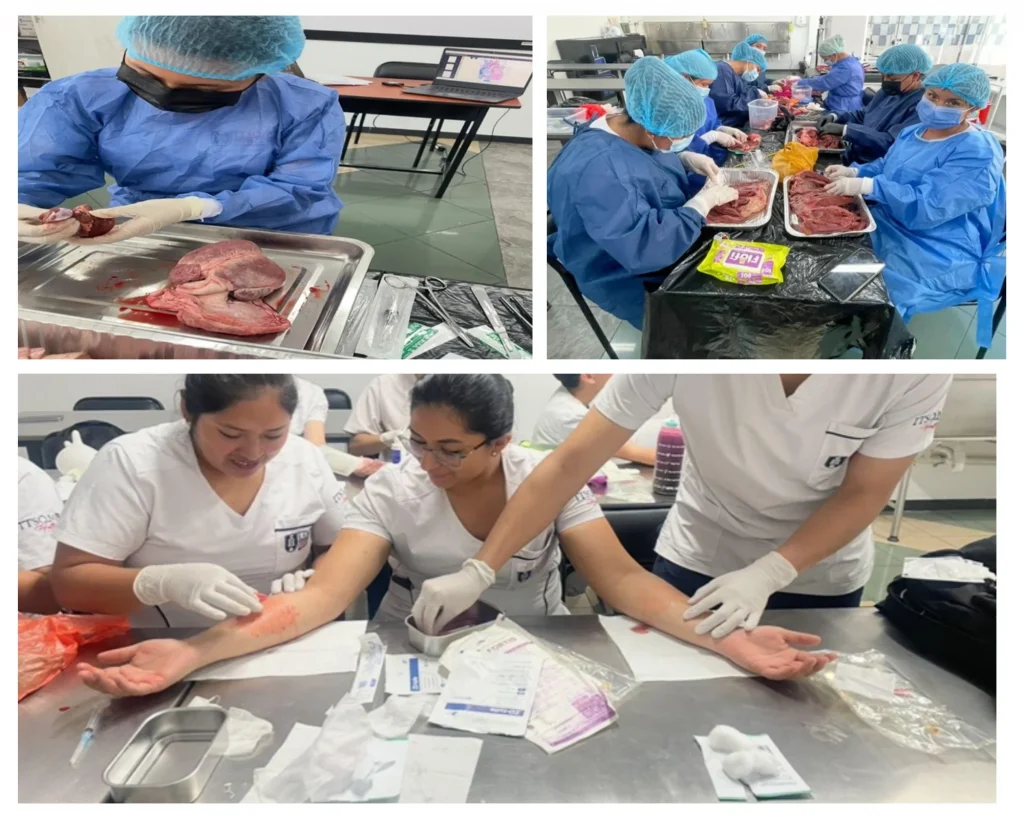 ¡Prácticas de Laboratorio! Explorando el Corazón en el ITSQMET