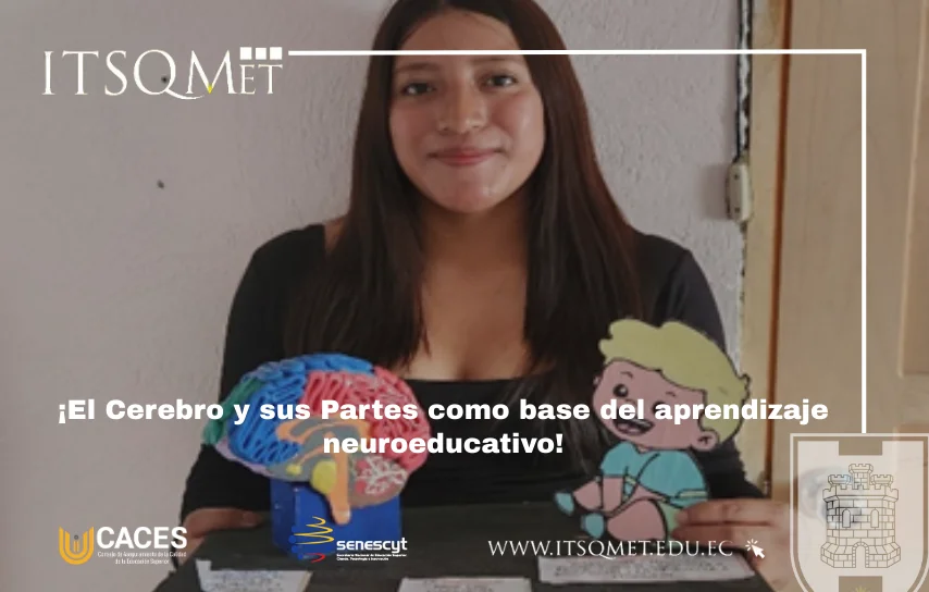 El Cerebro y sus Partes: aprendizaje activo en la neuroeducación