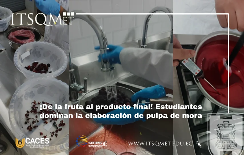 Elaboración de pulpa de mora