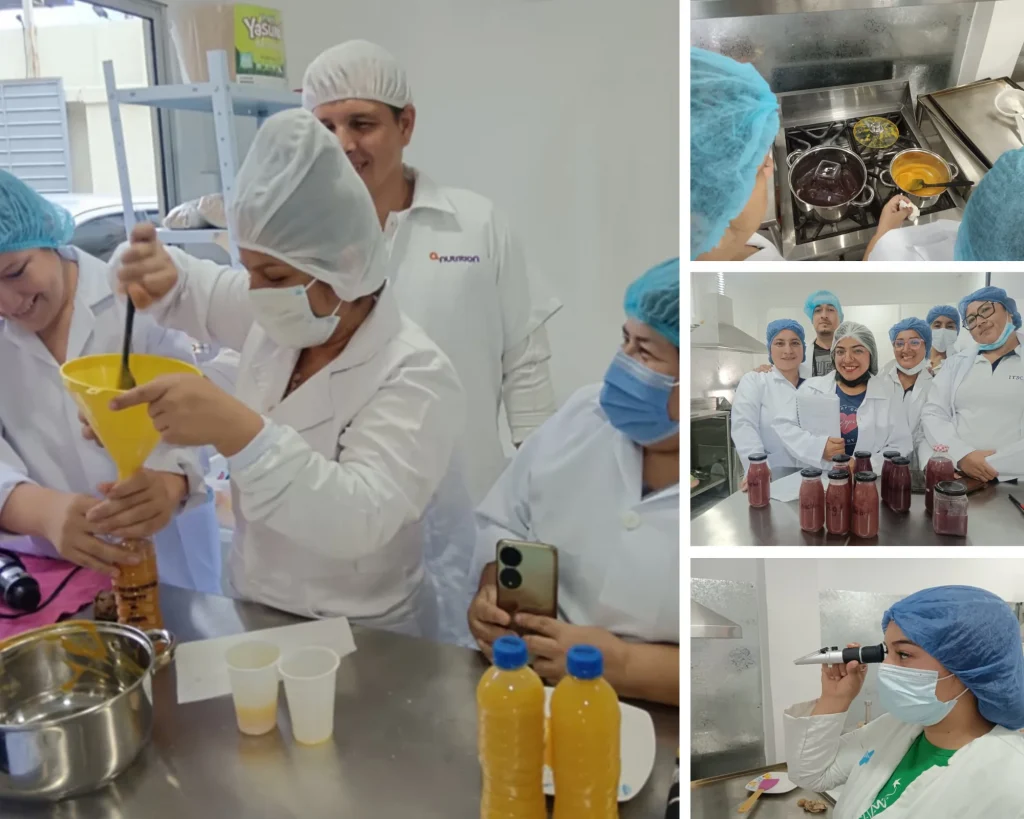 Proceso de elaboración de bebidas frutales